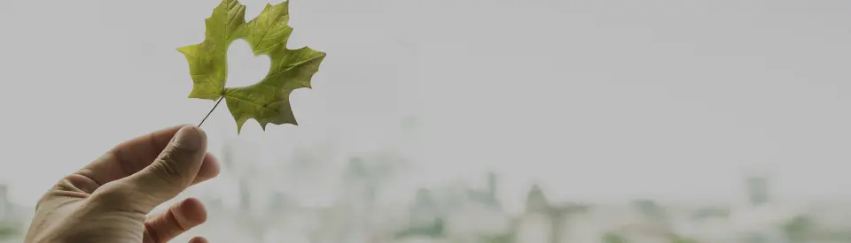 CS Star Enerji